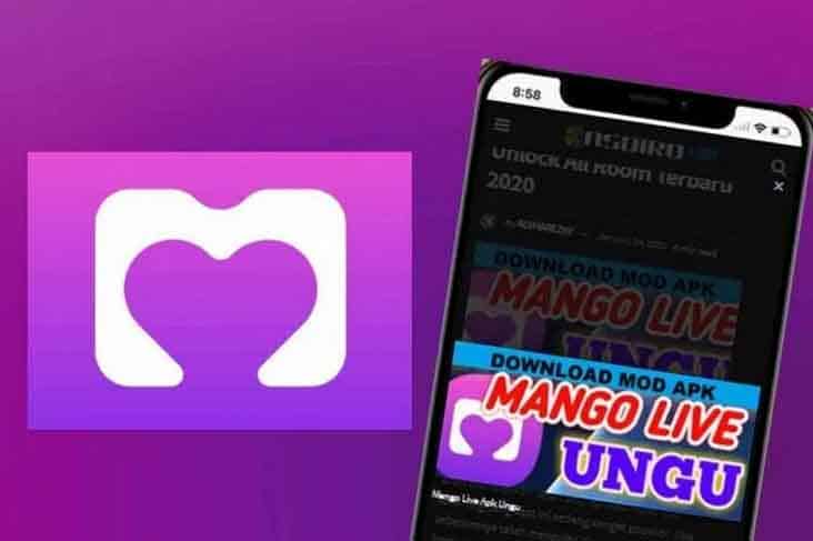 Cara Install Mango Live Ungu Mod APK