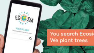 Ecoisa apk