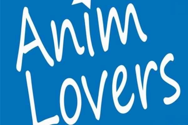 Kenapa Bisa Error Apk Anime Lovers