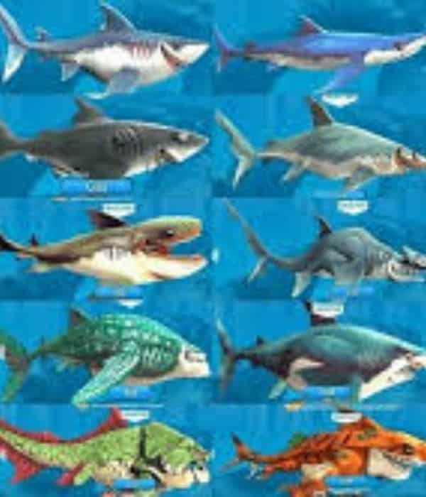 Fitur Unggulan Hungry Shark World Mod APK