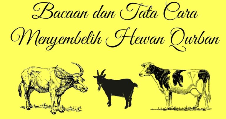 Doa Menyembelih Hewan Kurban Dan Tata Cara Menyembelih