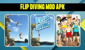 Flip Diving Mod Apk