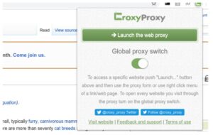 Croxyproxy Gratis (VPN Online) 2022 Buka Situs yang Diblokir