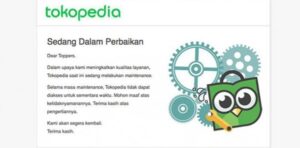 Tokopedia Server Error Ini 6 Cara Mengatasinya Paling Ampuh