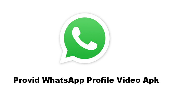 Apa Itu Provid Whatsapp Profile Video Apk
