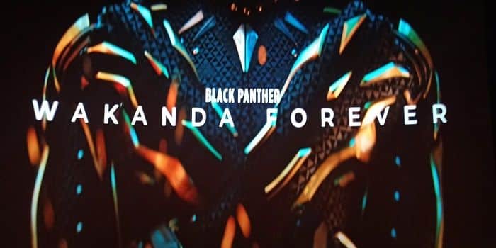 Sinopsis Black Panther Wakanda Forever