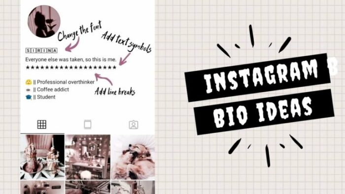 Apa itu bio Instagram?  Dan apa fungsinya