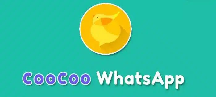 Kenalan Lebih Jaun Dengan CooCoo WhatsApp